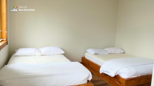 The Blue Mountains Ski Chalet | Summit Ridge 3
