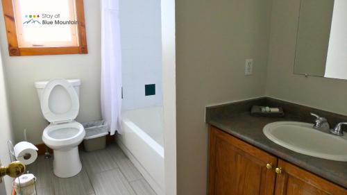 The Blue Mountains Ski Chalet | Summit Ridge 3