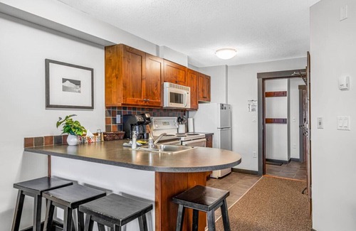 East Kootenay Apartment | Summit Synergy | Ski-In/Out | Next to Spring Pools