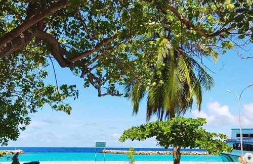 Mahibadhoo House | Sun Dive Inn
