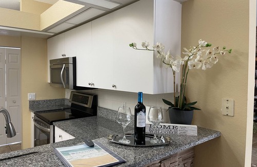 South Venice House | SUN, FUN AND RELAX IN THIS BEAUTIFUL PRIVATE POOL HOME