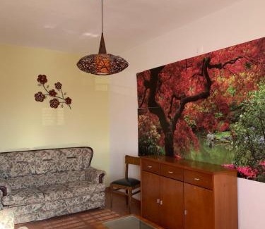 Bemparece Apartment | Sun Guest House
