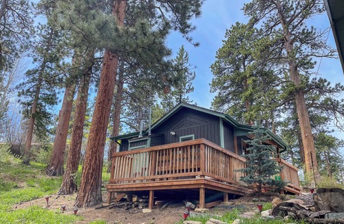 Estes Park Cabin | SunBright Cottage: Fireplace, A/C, Jacuzzi, Private Deck, King Bed
