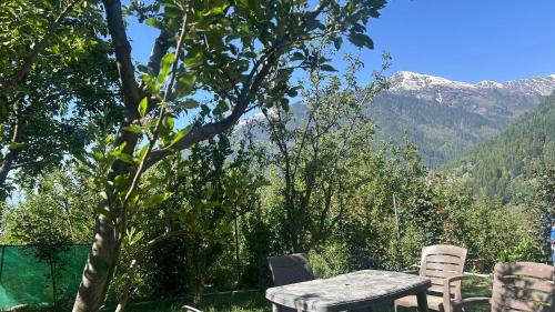 Vashist House | Sunface Homestay