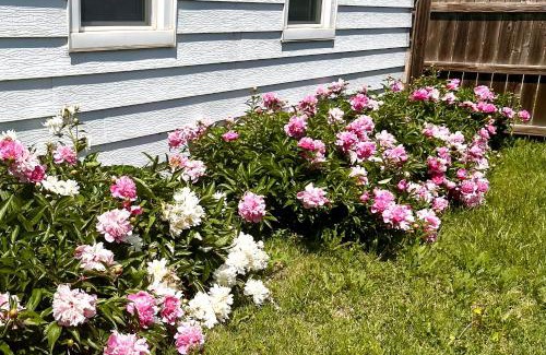 Salina House | Sunflower House