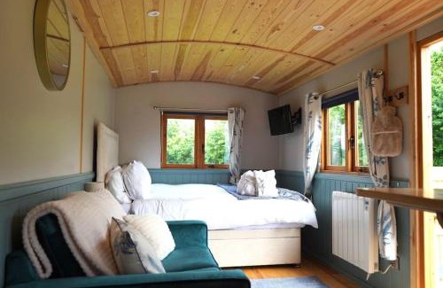 Staple Hill Apartment | Sunflower Hut