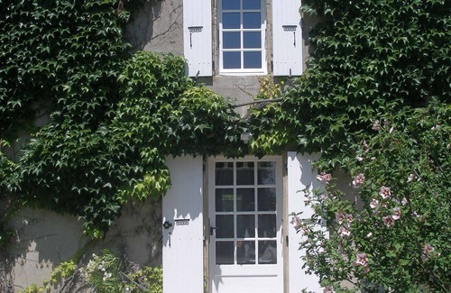 Soupex House | Sunflower Mas Escampette