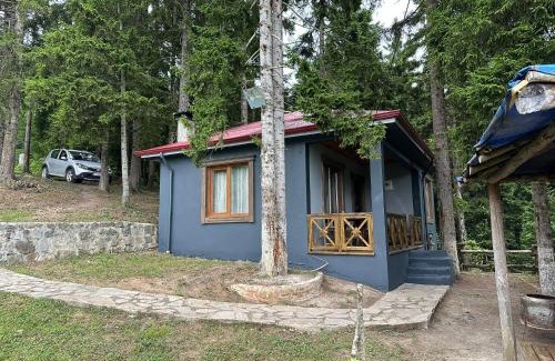 Macka Ski Chalet | SUNGUR DAĞ EVi