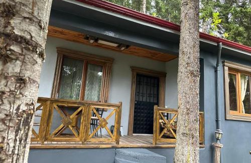 Macka Ski Chalet | SUNGUR DAĞ EVi