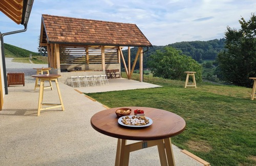 Zgornja Kungota House | Sunlight house Toti breg. Place for gatherings in the vineyards of Svečina