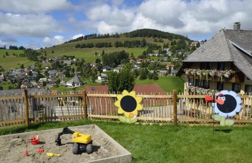 Todtnauberg Apartment | Sunmattehof