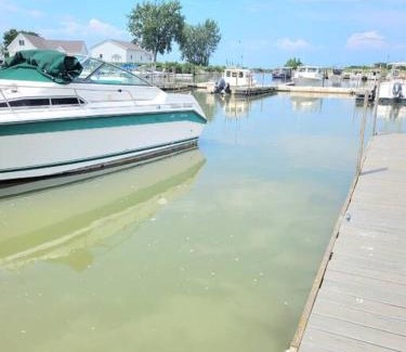 Oak Harbor Apartment | Sunnie Days condo in Oak Harbor on Lake Erie!