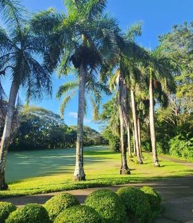 Tambor Apartment | Sunny 2-bed condo - fast WIFI