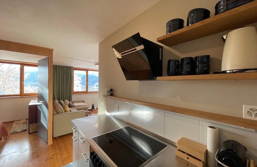 Trin Apartment | Sunny & cozy apartment with mountain view, very private, free parking, public transport