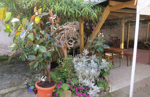 Jugesheim Apartment | Sunny half-timbered house near Frankfurt/M