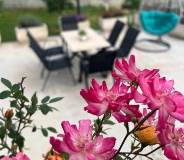 Radanovici Apartment | Sunny Hill - Parking - Fenced Garden - Luxury Loft