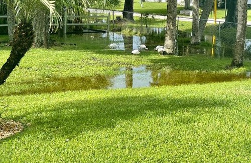 Laurel House | Sunny Oasis Getaway -Heated Pool-Mini Golf-Near Beach