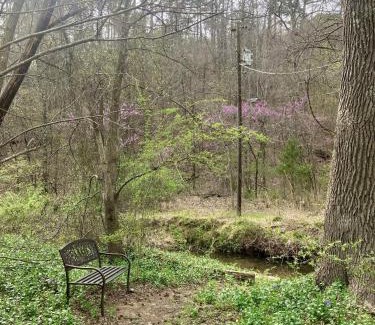 Mena House | Sunnybrook Cabin, wooded, private with stream, near ATV trails