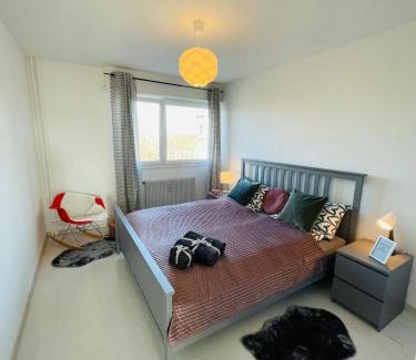 Saint-Louis Apartment | SunnyF2- EuroAiport-Basel-TrainStation-CityCenter