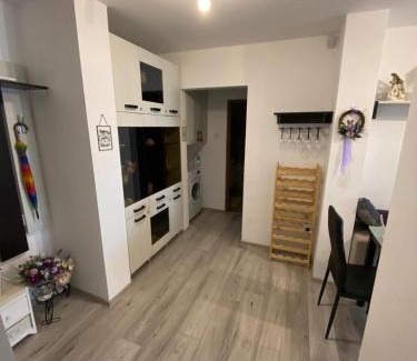 Doua Mai Apartment | SunRise Apartament