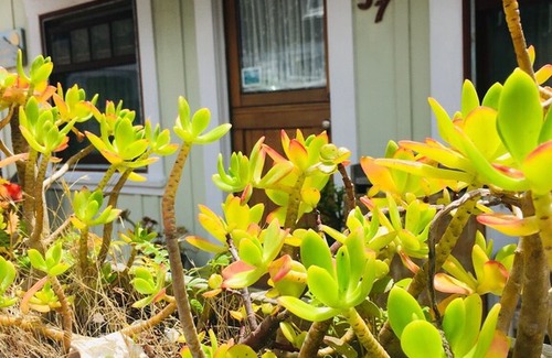 Dillon Beach House | Sunrise Cottage by the Beach