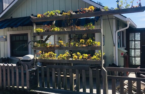 Dillon Beach House | Sunrise Cottage by the Beach