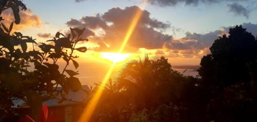 Saint Peter Parish Apartment | "SunRise Inn" Nature Island Dominica