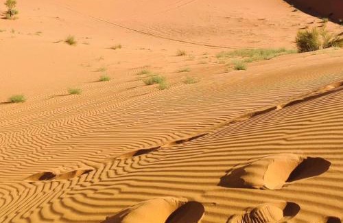 Taouz Bed & Breakfast | Sunset Dunes Luxury Camp