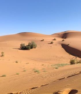 Taouz Bed & Breakfast | Sunset Dunes Luxury Camp