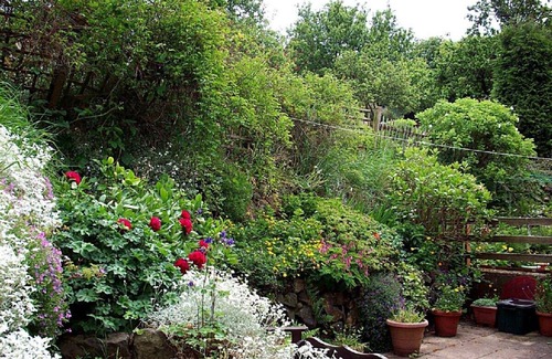 Forsbrook House | SUNSET VIEW, Comfortable spacious house in the beautiful County of Staffordshire