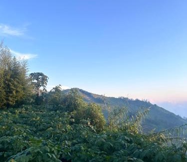 Kejajar Villa | sunset villa dieng sikunir