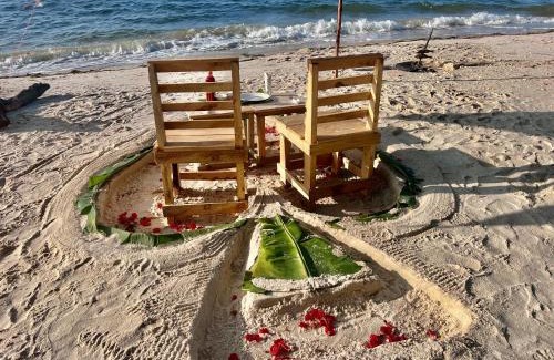 Mafia Island Bed & Breakfast | Sunset WhaleShark Beach