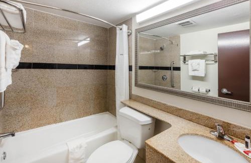 Beaumont Hotel | Super 8 by Wyndham Beaumont I-10 College St