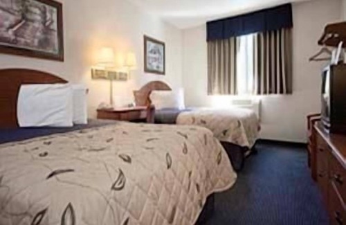 Gainesville Hotel | Super 8 by Wyndham Gainesville I-75 Hospital University Area