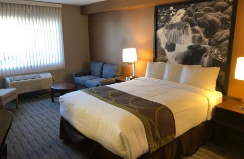 Lynnwood Hotel | Super 8 by Wyndham Lynnwood