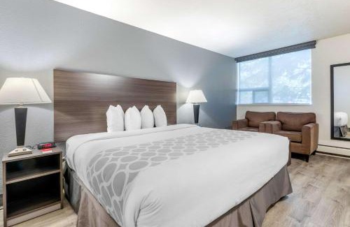 Kingsland Hotel | Super 8 by Wyndham Macleod Trail Calgary