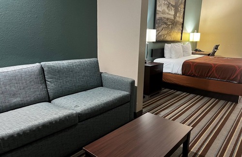 Port Arthur Hotel | Super 8 by Wyndham Port Arthur/Nederland Area
