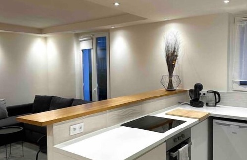 Republique–Point-du-Jour Apartment | Super Appartement Refait à Neuf Beaucoup de Charme