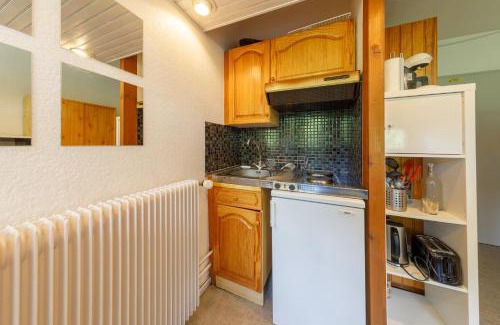 Besse-et-Saint-Anastaise Apartment | Super Besse les grands horizons chez Lorenzo et Séverine