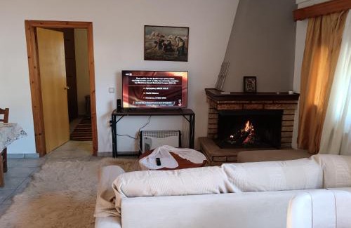 Karpenisi Apartment | Super central apartment with a view