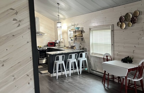 Mio Cabin | Super clean cabin near ORV trails & AuSable River, walking distance to town Mio.