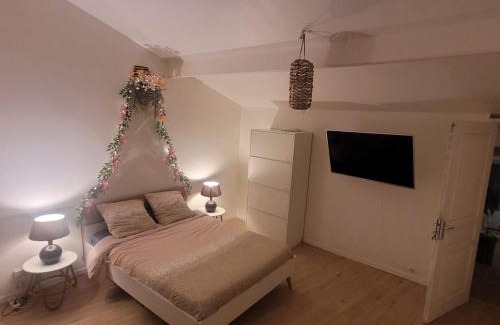 Beaumont-sur-Oise Apartment | Super F3 coconing tout équipé 5 personnes