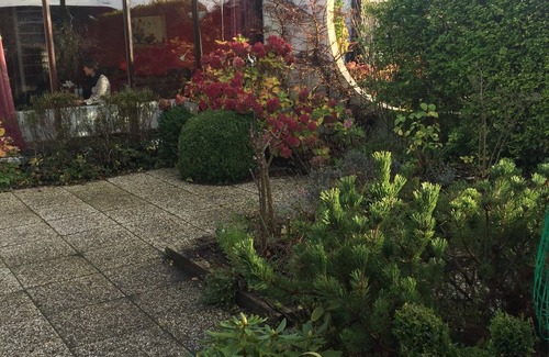 Brouwershaven House | Super Haus mit Garten mit vielen Rosen, Fahrradschuppen mit 3 Fahrräder.
