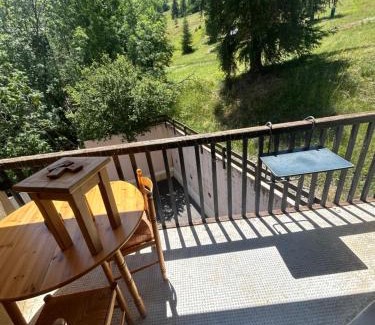 Le Super-Sauze Apartment | Super sauze 1700m