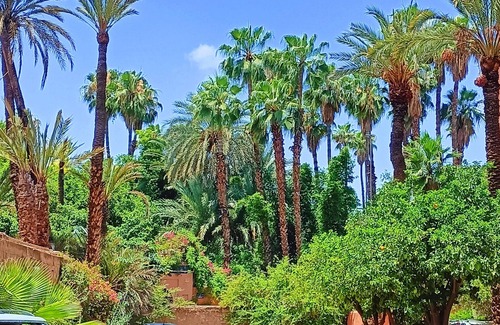 Majorelle Apartment | Superb Apt ! Exceptional View of Majorelle's Gardens, Yves Saint Laurent Street