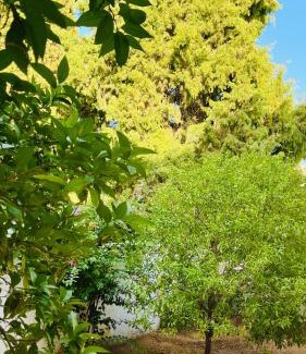 El Menzah 9 Apartment | Superbe appartement avec jardin à 15min de l aéroport