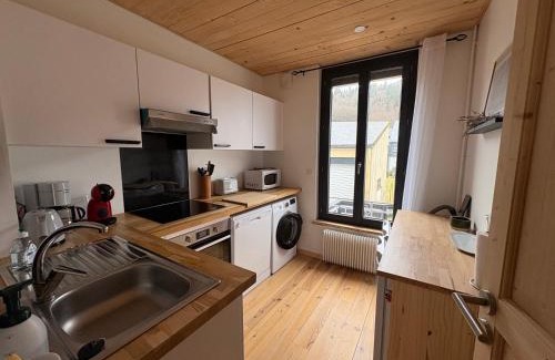 Mont-Dore Apartment | Superbe appartement