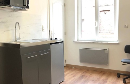 Vauban - Wazemmes Apartment | Superbe Appartement Tout Confort à Lille