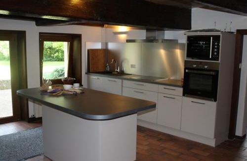 Belmont-sur-Buttant House | Superbe Ferme Rénovée avec Cheminée, Wifi, et Jeux Extérieurs près de Gérardmer et Épinal - FR-1-589-28
