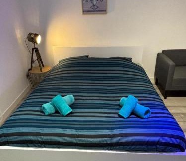 Saint-Priest Apartment | Superbe grand studio, parking